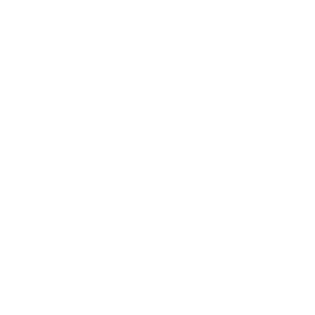 Logo instagram blanc
